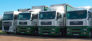 lorries